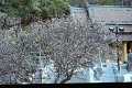 Thailand 2001-EX280
